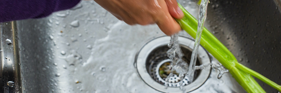 drain cleaning fort collins co