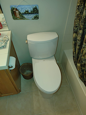 Clogged Toilets Can Be A Real Drain